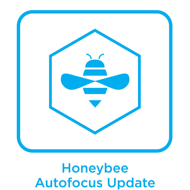 XF Feature_Honeybee