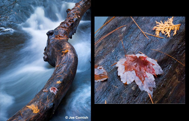 Taylor Creek Canada Take with a Phase One P435+ Digital Camera Back